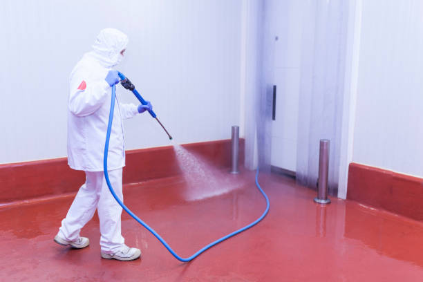 Best Spring Cleaning  in Columbus, NC